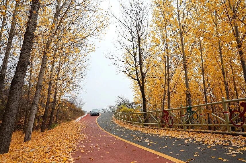 微信图片_2026-02-28_145727_428