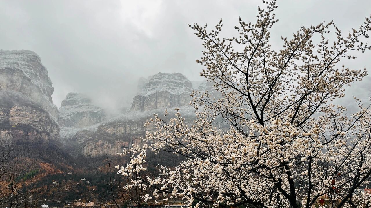 微信图片_2026-03-02_142720_039