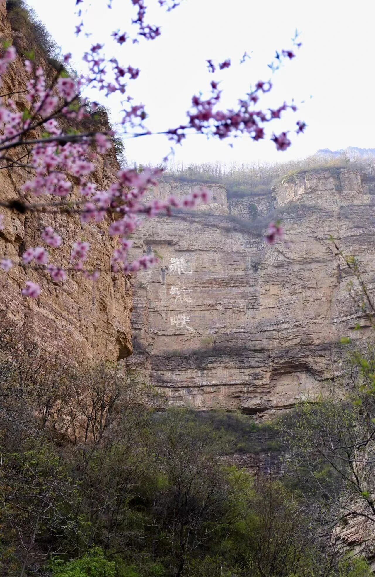 微信图片_2026-03-10_084332_897