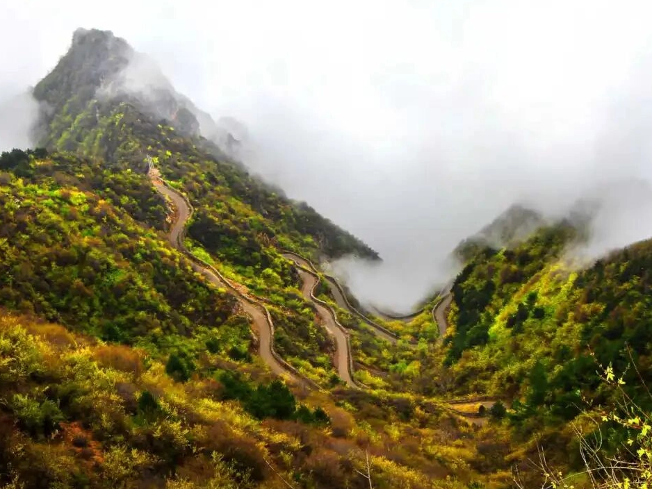 女士免票+花神启幕｜有道是，桃花谷间遇花仙，太行天路赏春颜！峡谷春色已上线，赴约正当时~