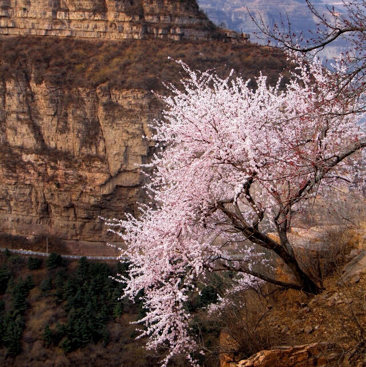 微信图片_2026-03-27_101944_263