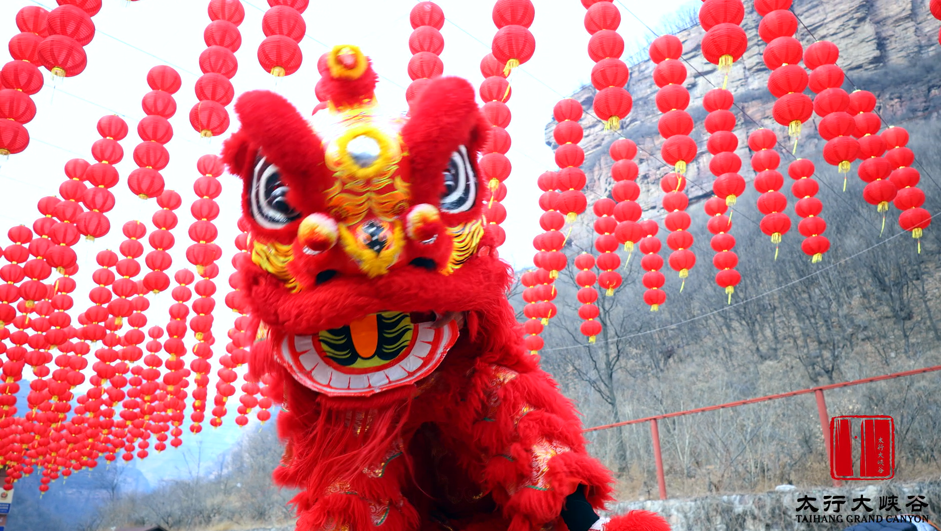 微信图片_2026-02-24_171550_334