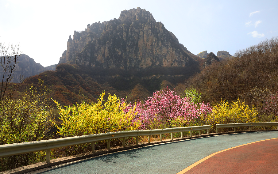 微信图片_2026-03-18_095115_225