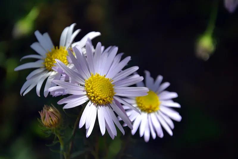 微信图片_20210816153626