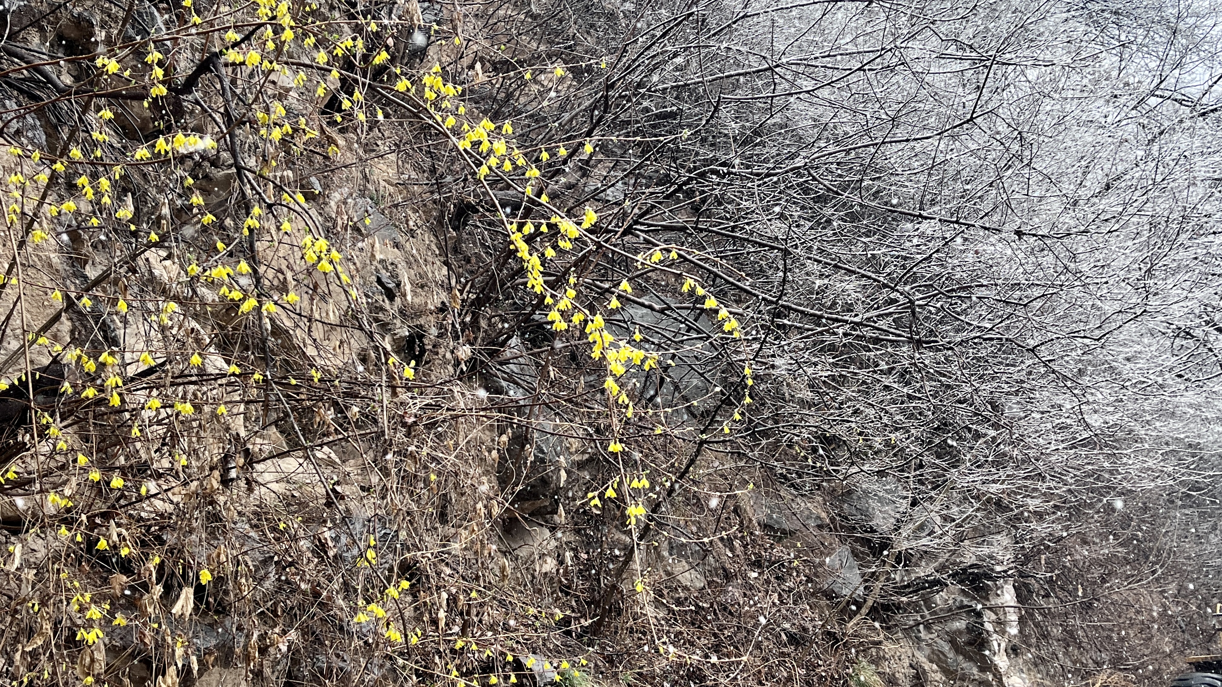 微信图片_20230317090225