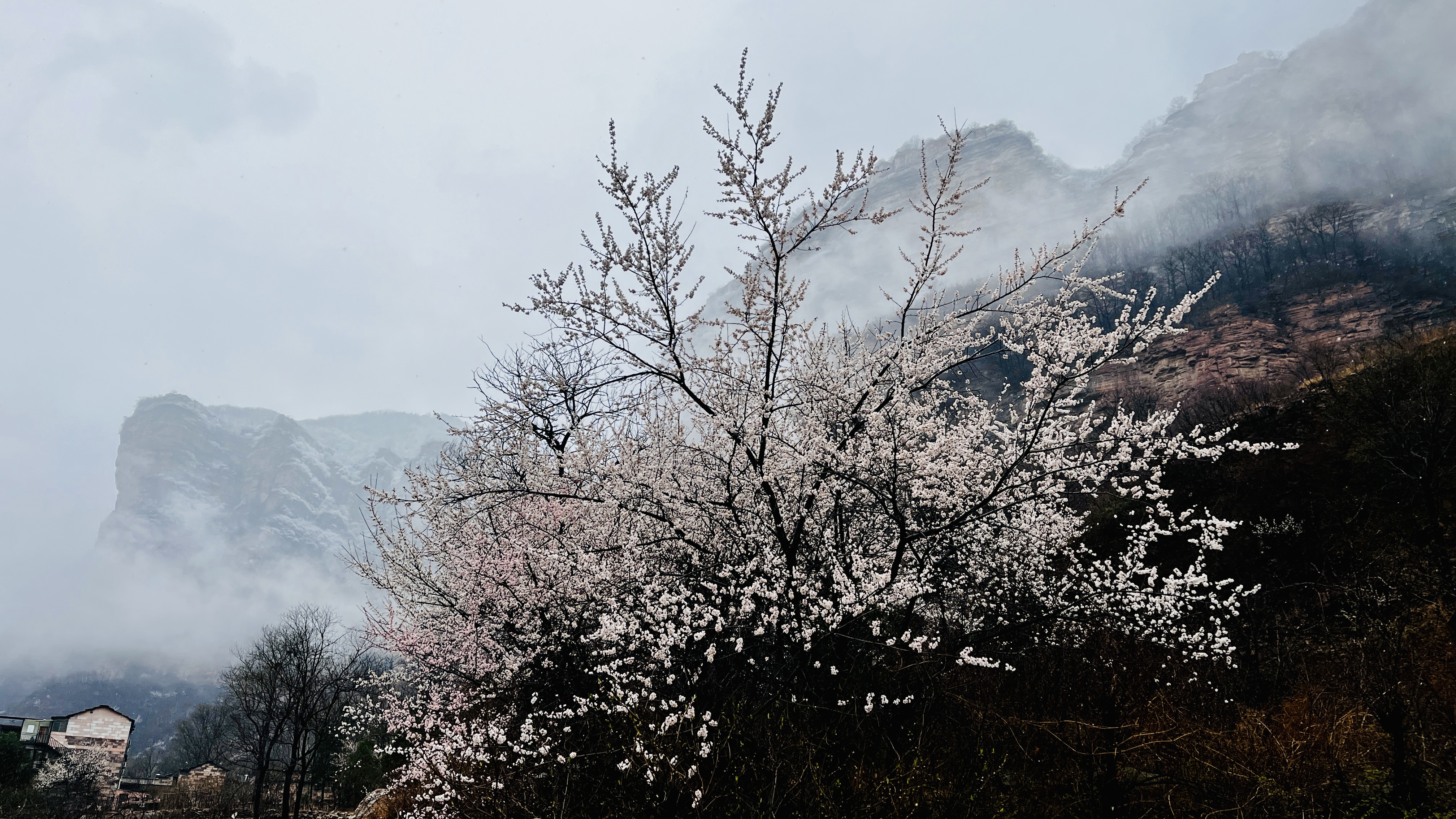 微信图片_20230317090506