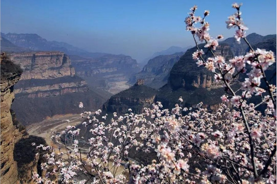 微信图片_20200317082820