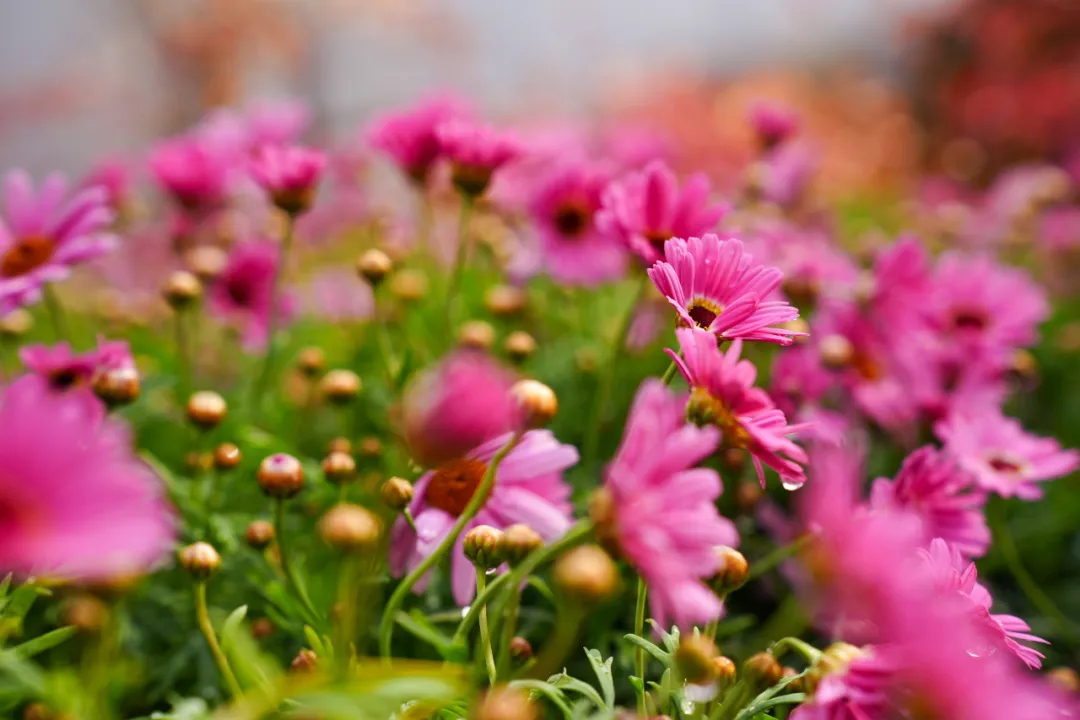 640 (1)_看图王.web