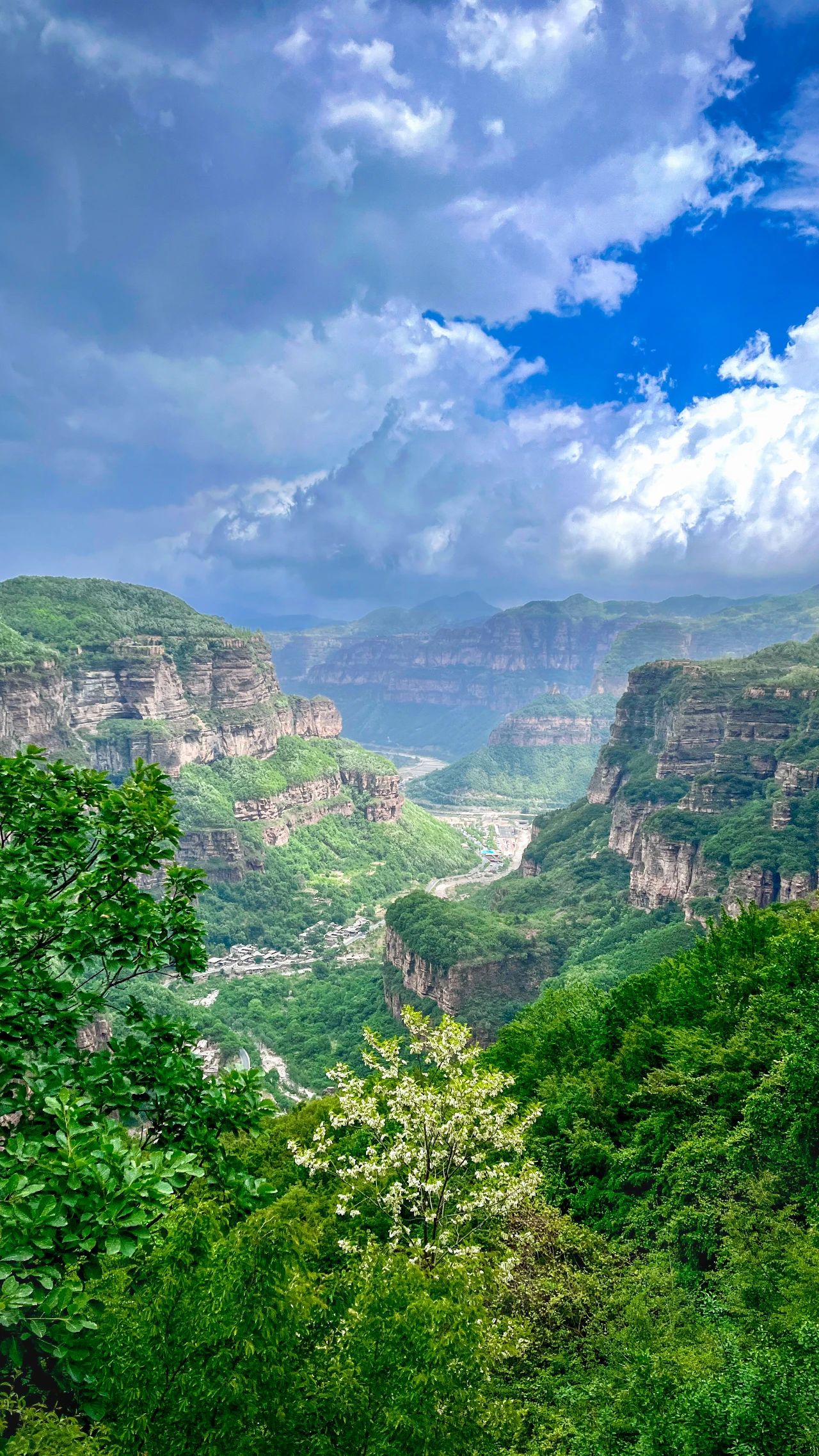 微信图片_20250512080756