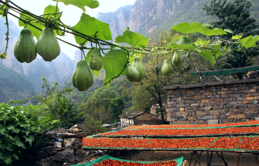 微信图片_2025-09-25_143246_826