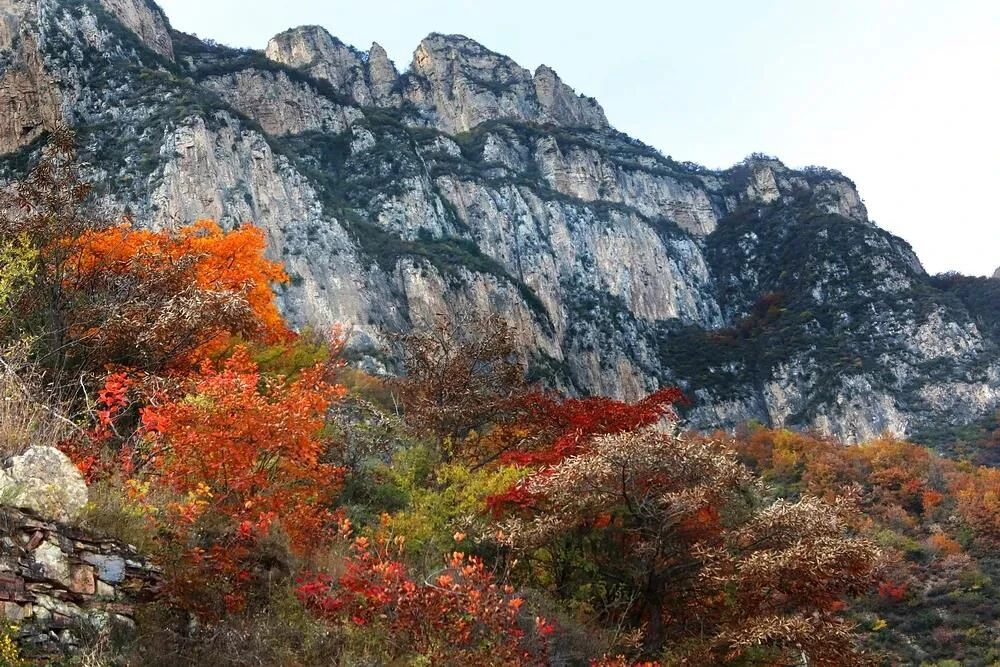 微信图片_2025-11-06_104506_991