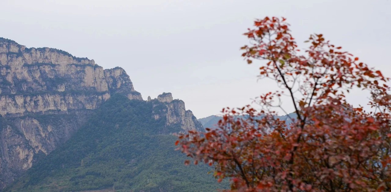 微信图片_2025-10-18_153624_738_看图王