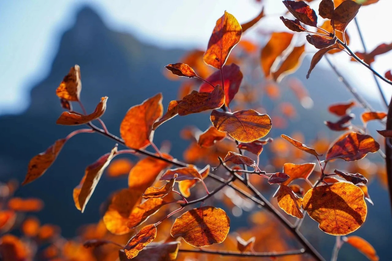 微信图片_2025-10-18_153659_731_看图王