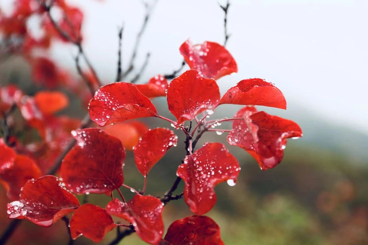 微信图片_2025-11-03_104003_325