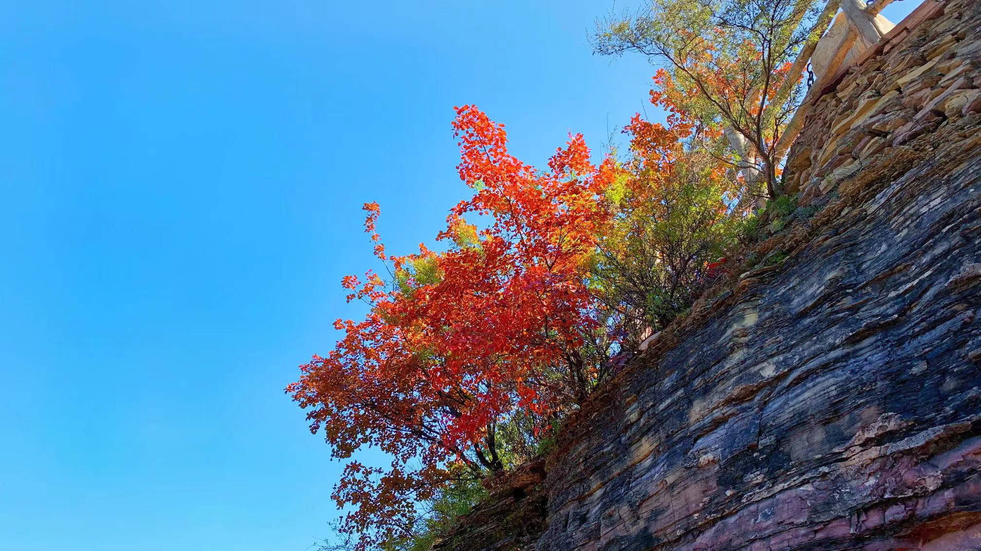 微信图片_20211022171721