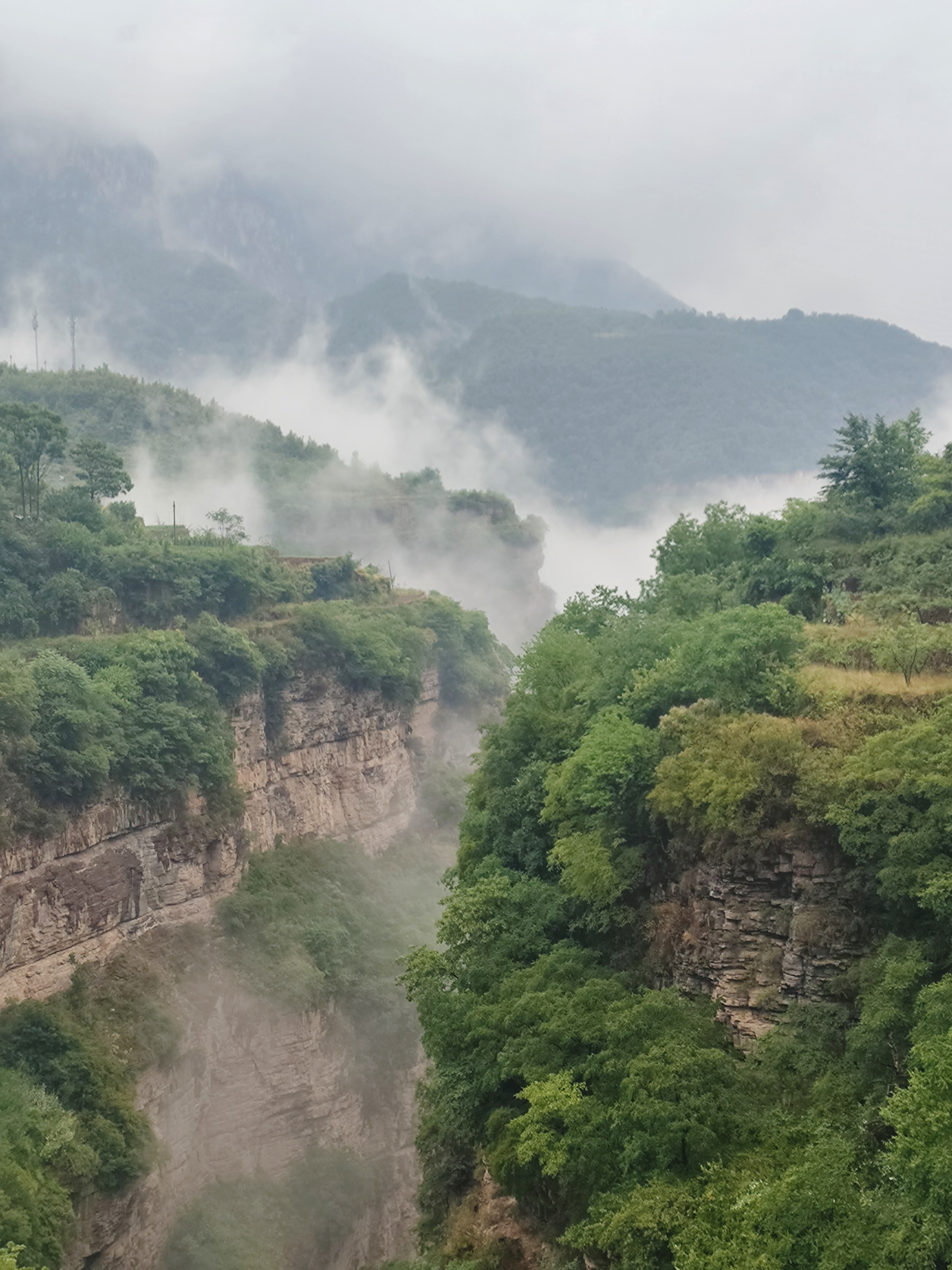 微信图片_20240622103834