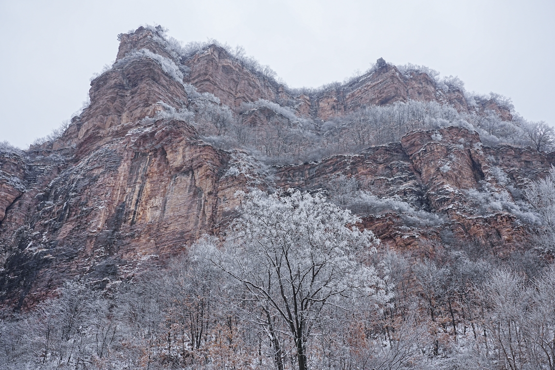 微信图片_2026-01-21_084650_857