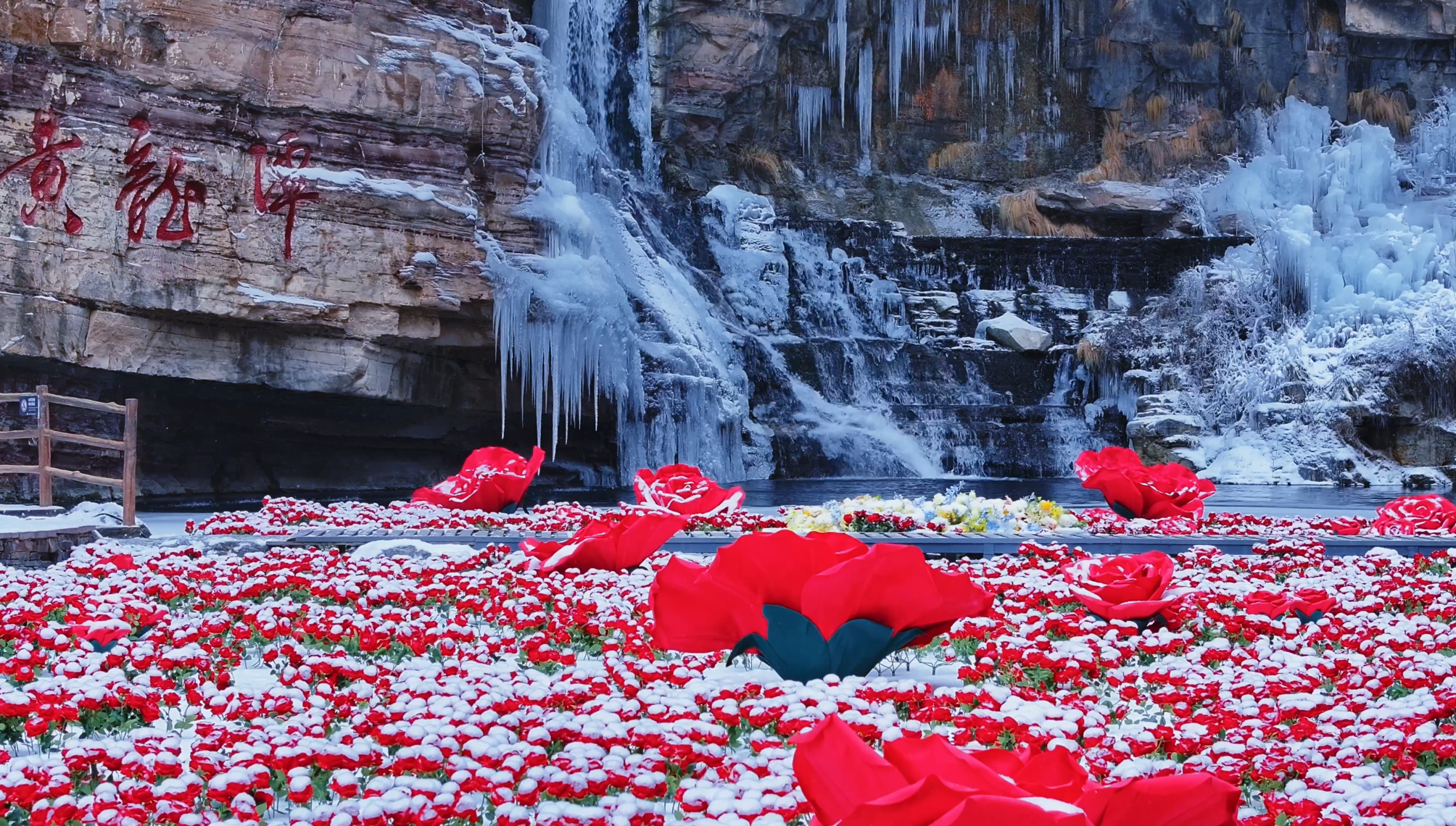 微信图片_2026-01-21_084631_889