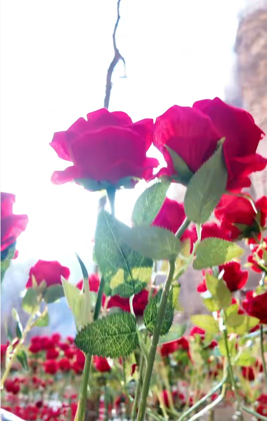 微信图片_2026-01-12_115208_549