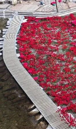 微信图片_2026-01-15_134418_027