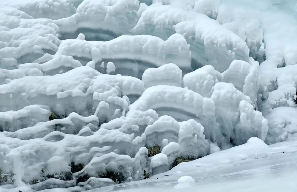 微信图片_2026-01-15_134436_523