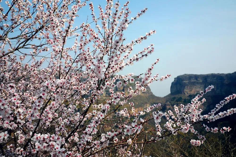 微信图片_20210317092510