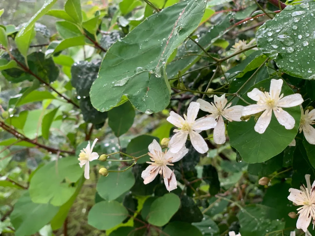 640 (7)_看图王.web