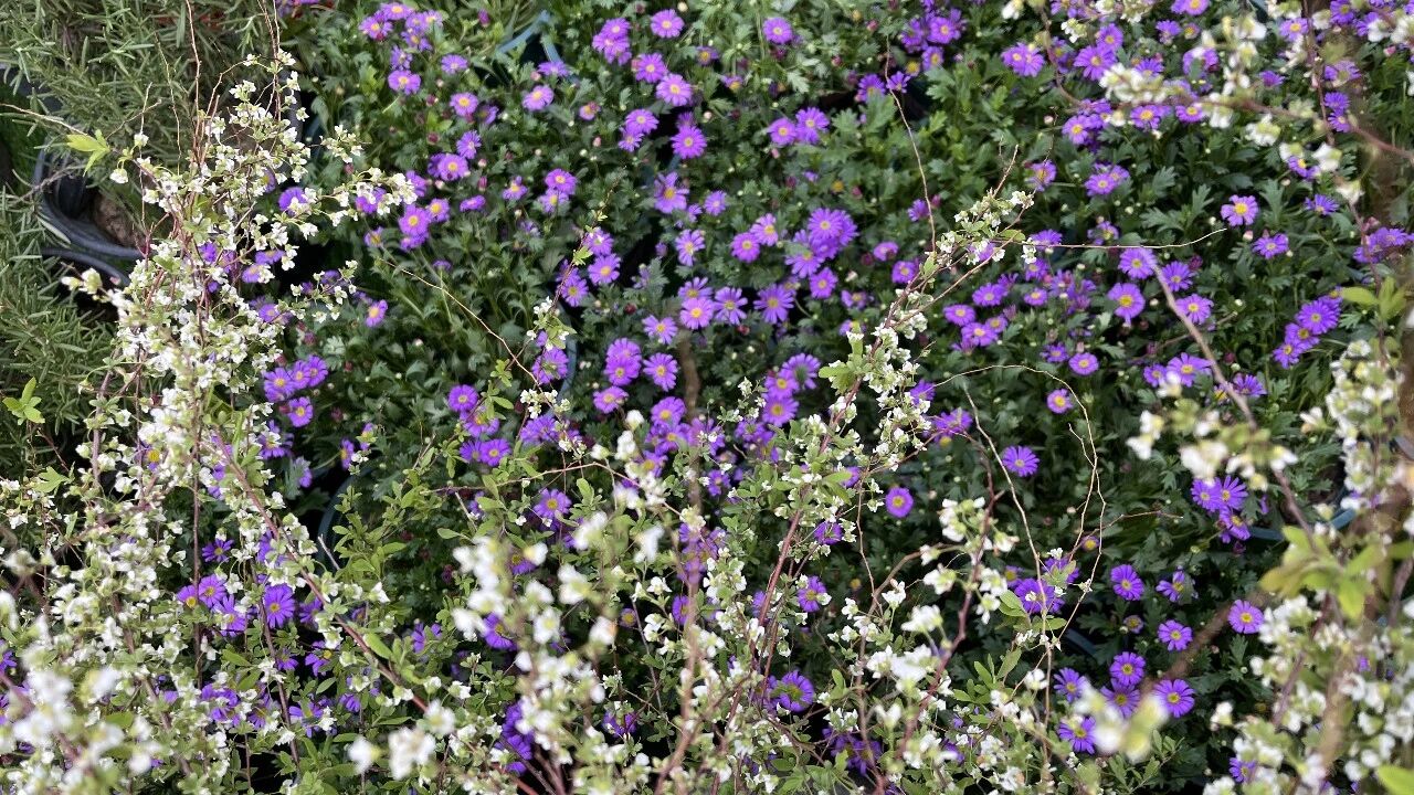 微信图片_2026-04-02_155548_442