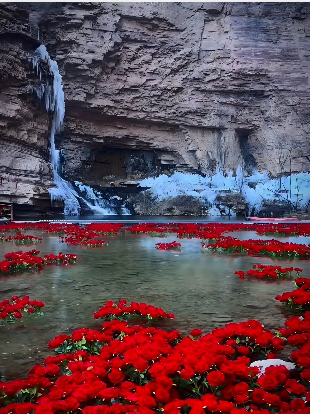 微信图片_2026-01-26_170737_601