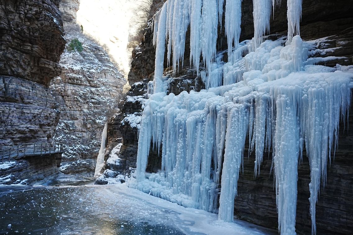 微信图片_2026-02-07_140840_072