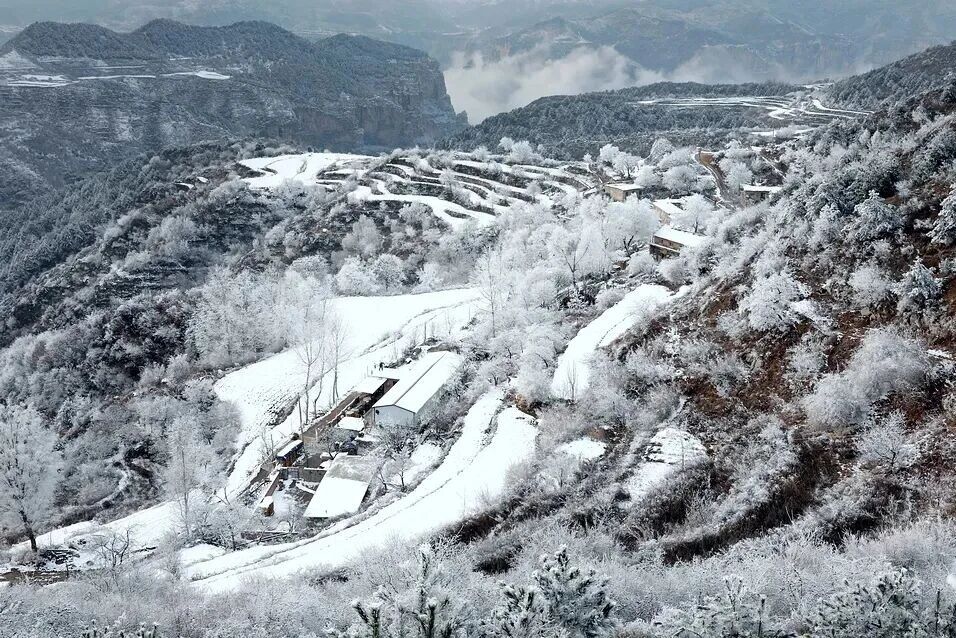 微信图片_2026-02-28_145728_852