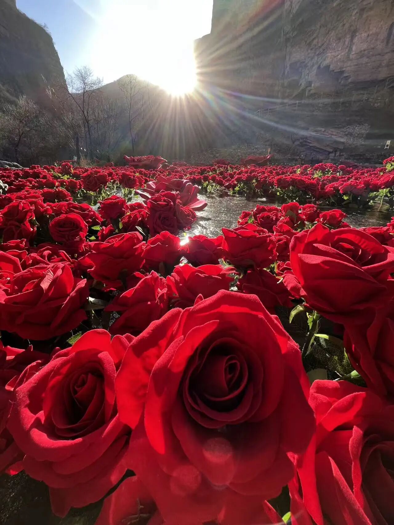 微信图片_2026-02-04_101702_856