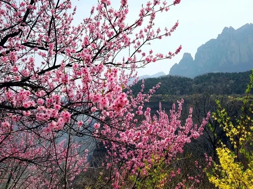女士免票，男士半价！林州太行大峡谷景区票务信息全汇总！一览便知~