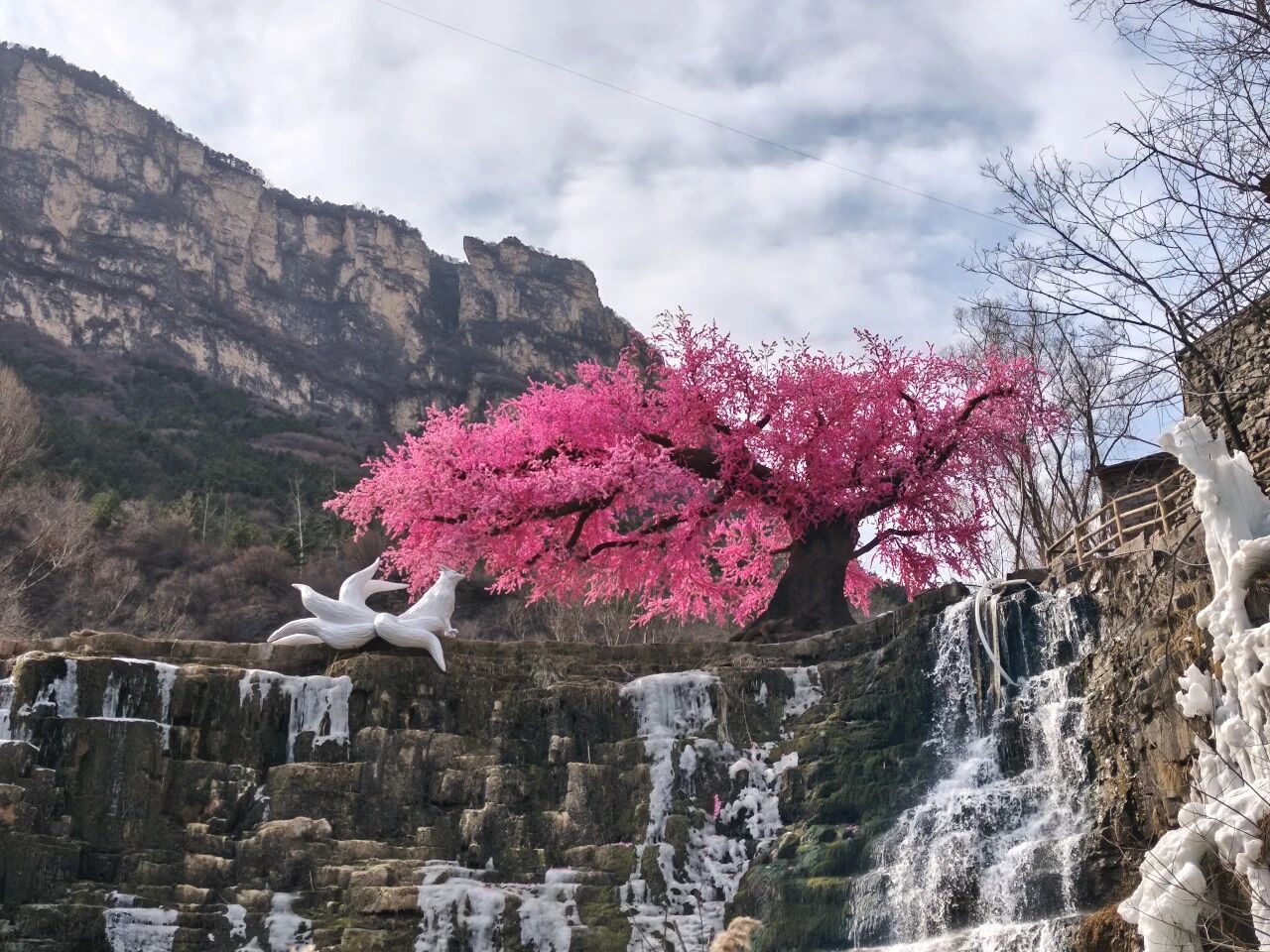 微信图片_2026-02-24_173005_197