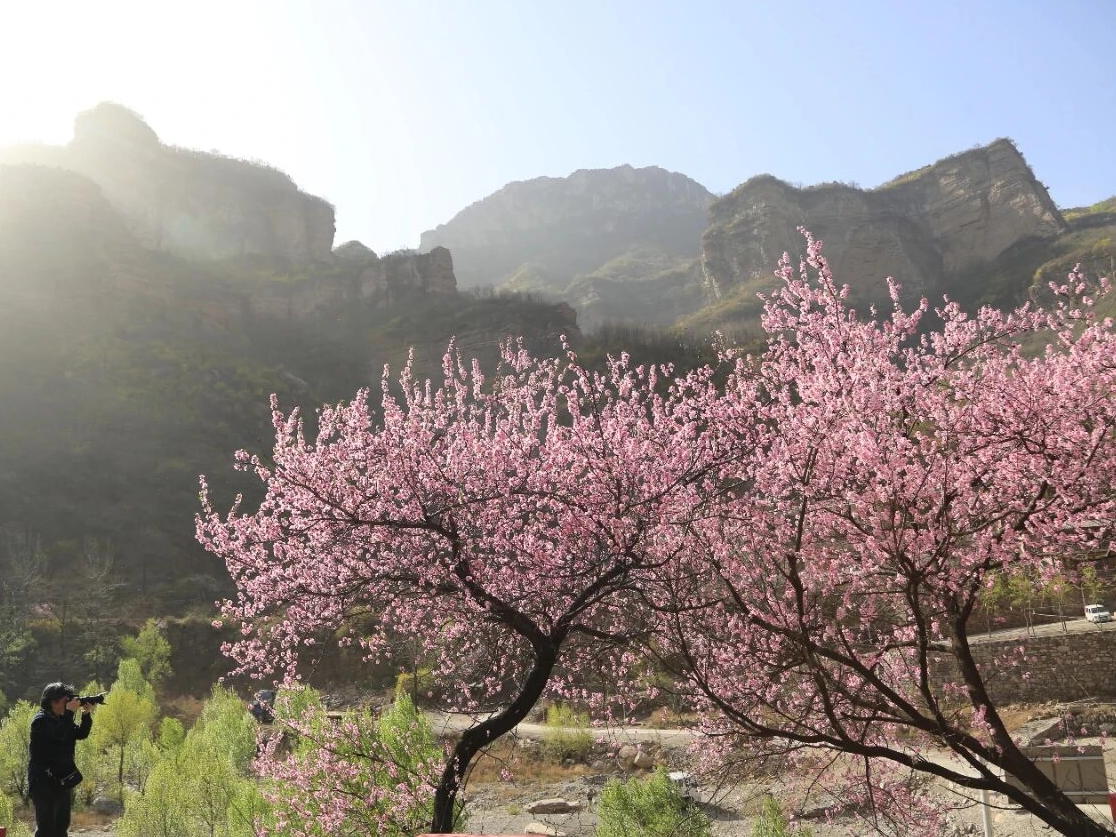 惊蛰已至｜太行大峡谷的春色正悄然绽放！别让春光等太久，趁三月福利现在就出发～
