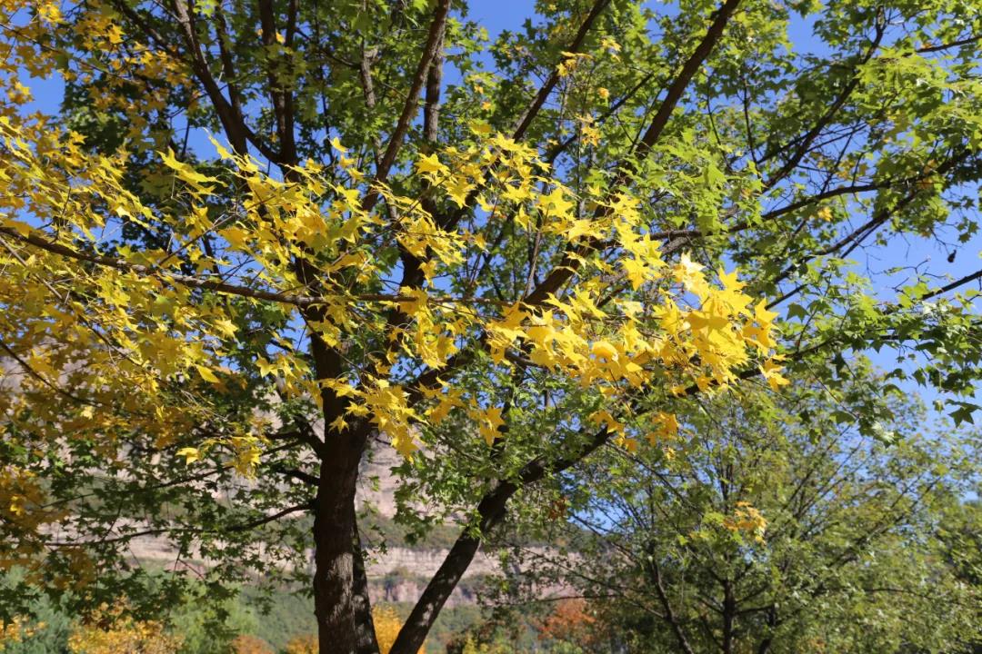 微信图片_20210816153041