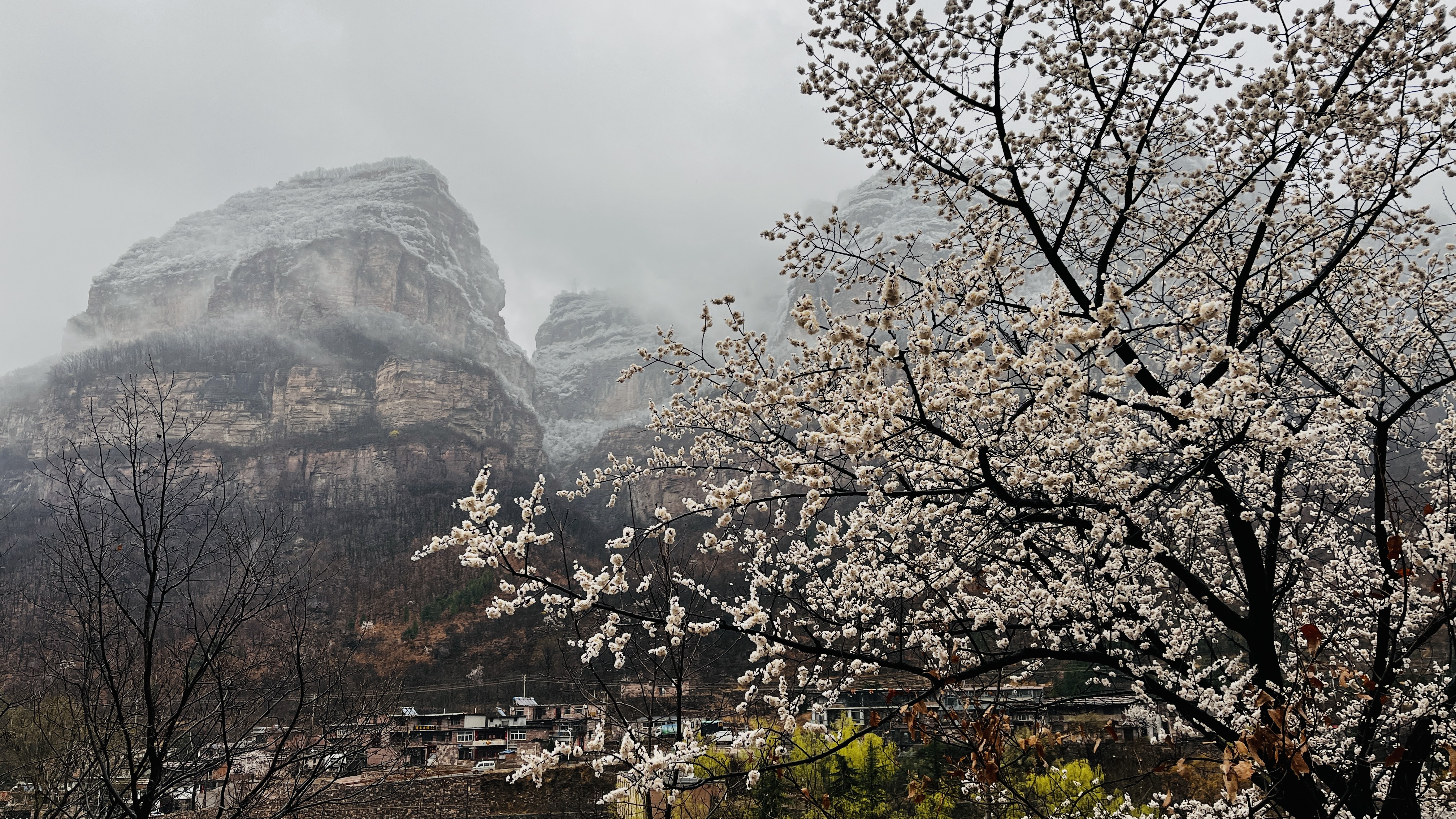 微信图片_20230317090044