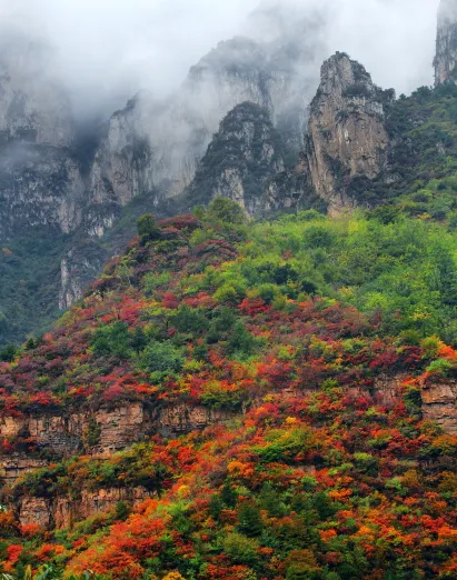 640 (3)_看图王.web