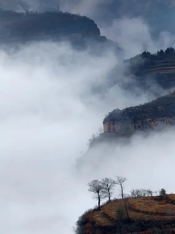 640 (7)_看图王.web