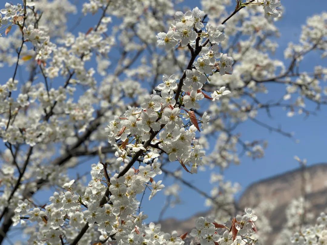 微信图片_20210423090951