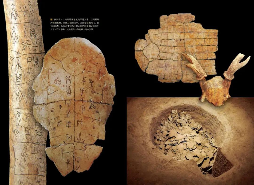 微信图片_20210615085331