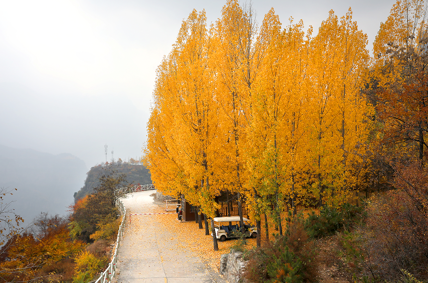 微信图片_20221205175427