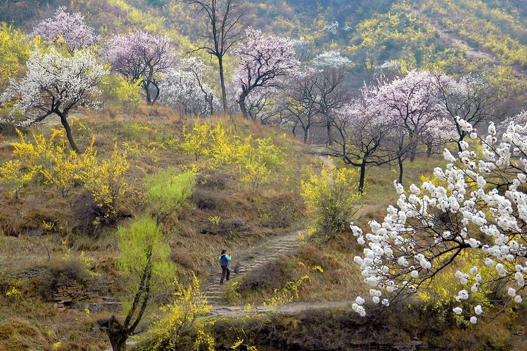 微信图片_20200317082803