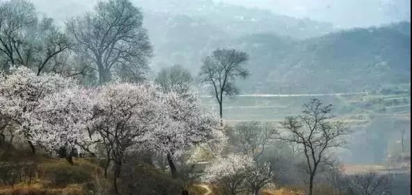 微信图片_20200317082823