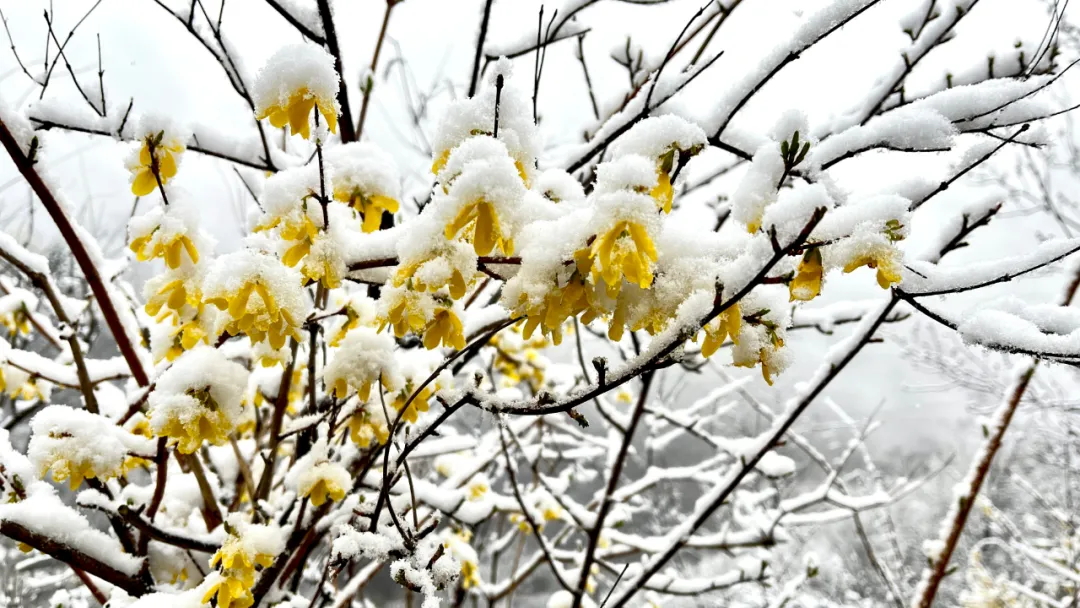 640 (1)_看图王.web