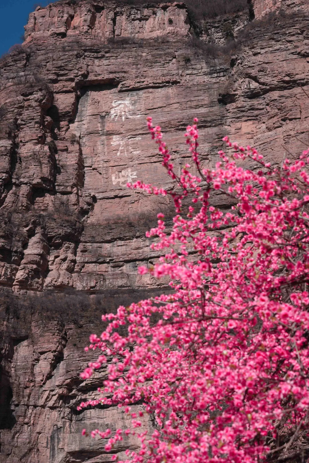 640 (5)_看图王.web