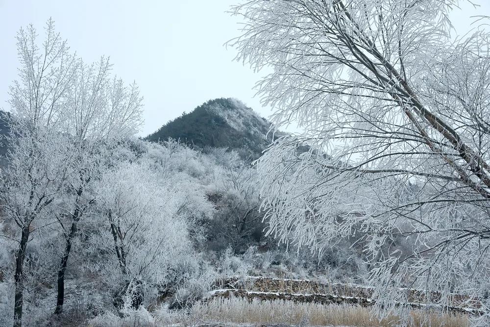 微信图片_20220121155130