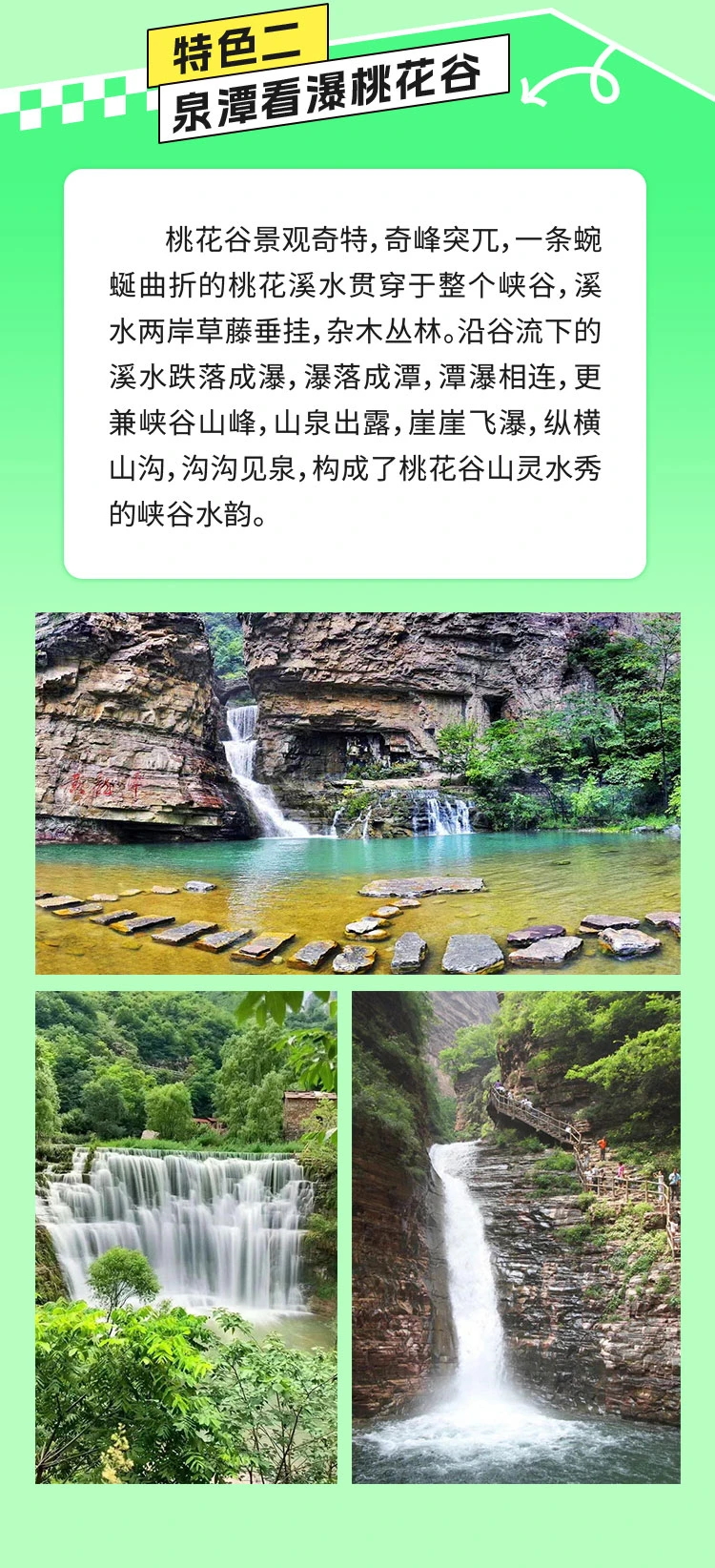 微信图片_20250609154628_看图王.web