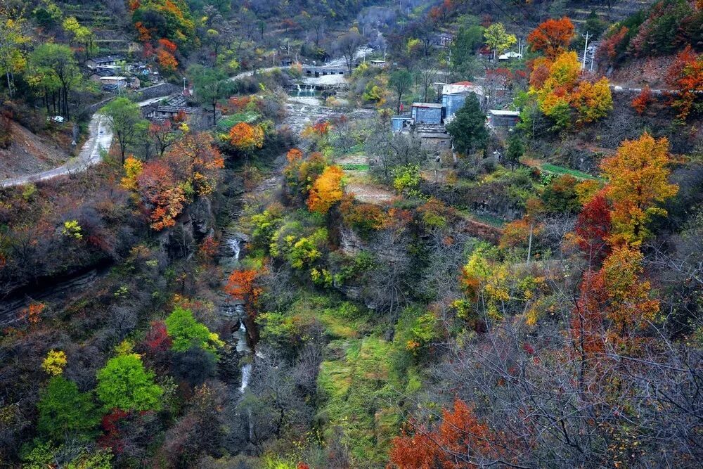 微信图片_2025-11-06_104459_924