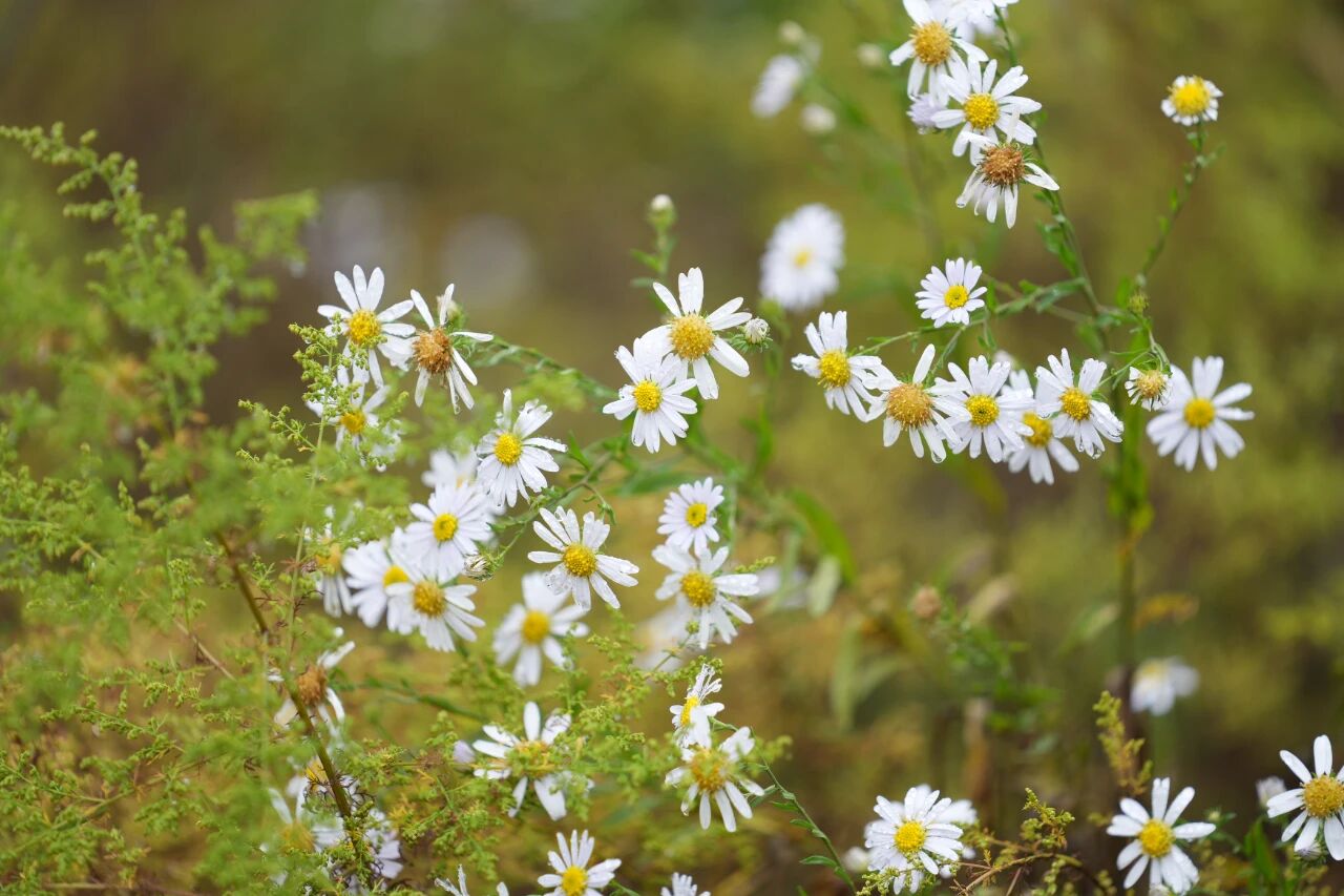 微信图片_2025-10-18_153714_150